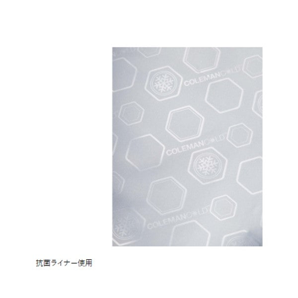 デイリークーラー/10L (ミスト) 2000038947