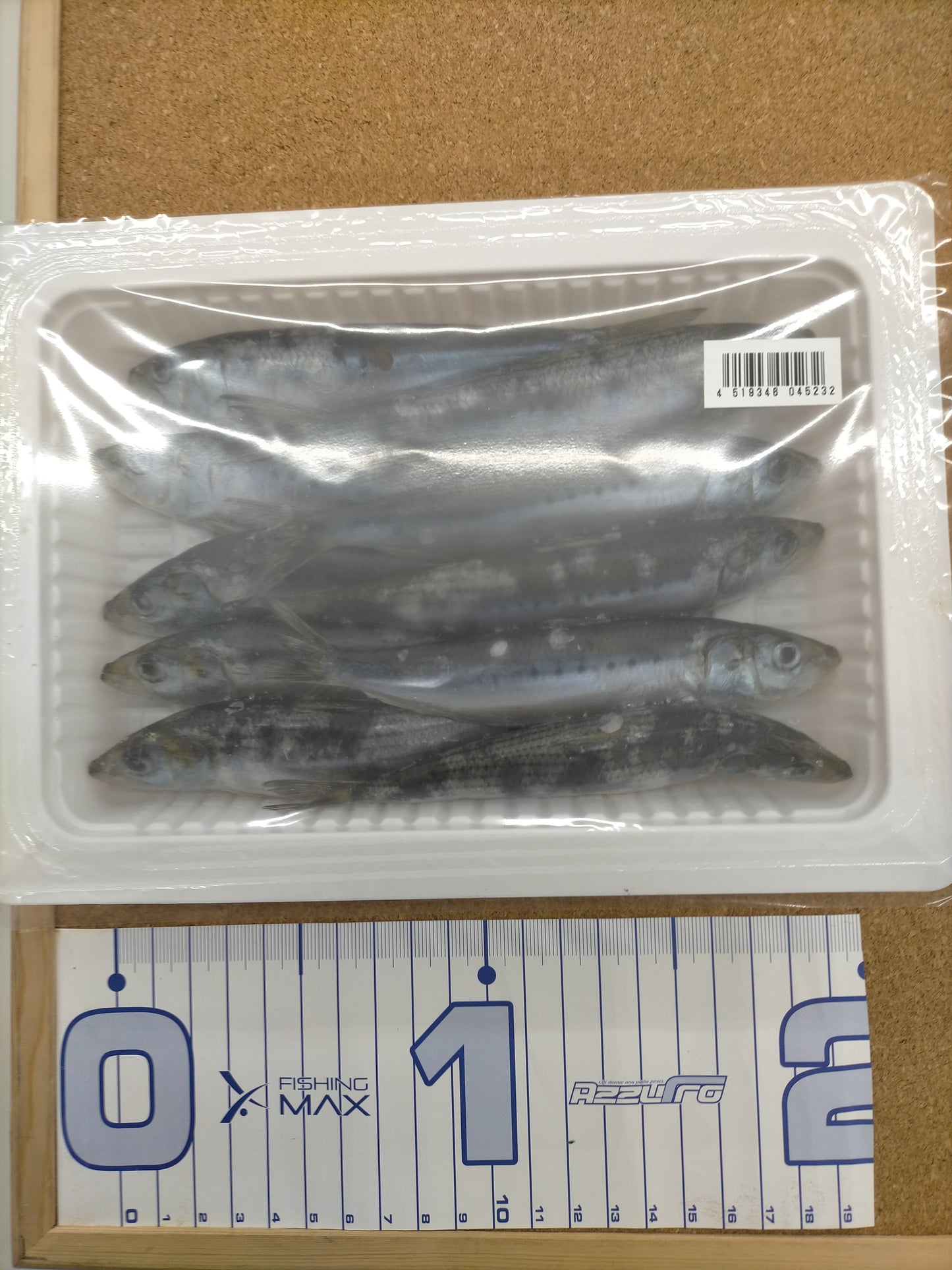 テンヤ用イワシ(船用)10~11匹入り