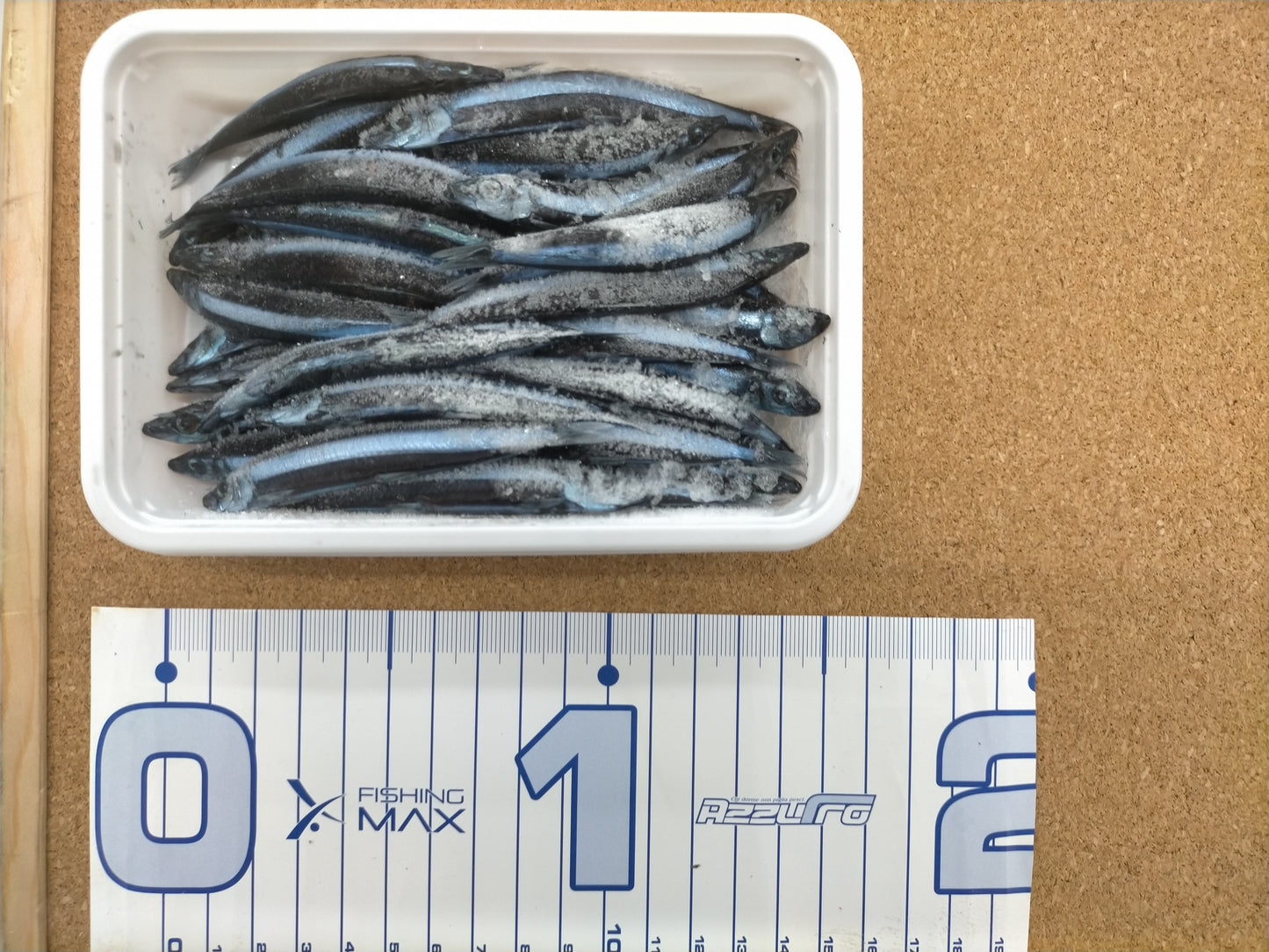 ブラックキビナゴ お墨付き