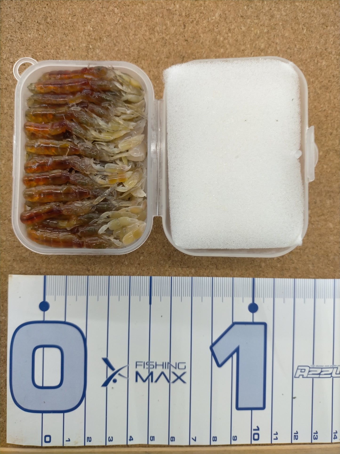 ボケ (スナモグリ) お徳用 35匹入 クール便