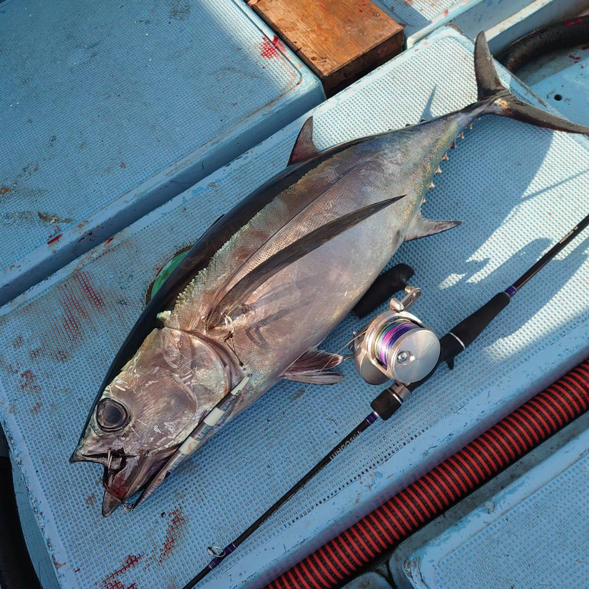 ルンゴスティック ( オフショア ジギング用 ベイトロッド )