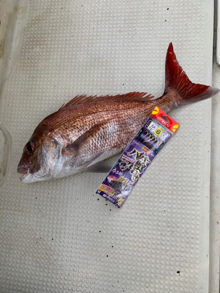 D-34 ハイパー喰わせカラ針MIX