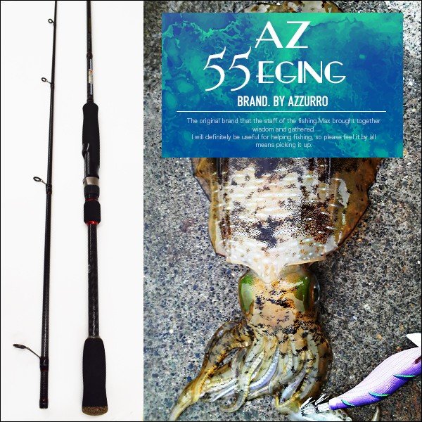 AZ 55 エギング