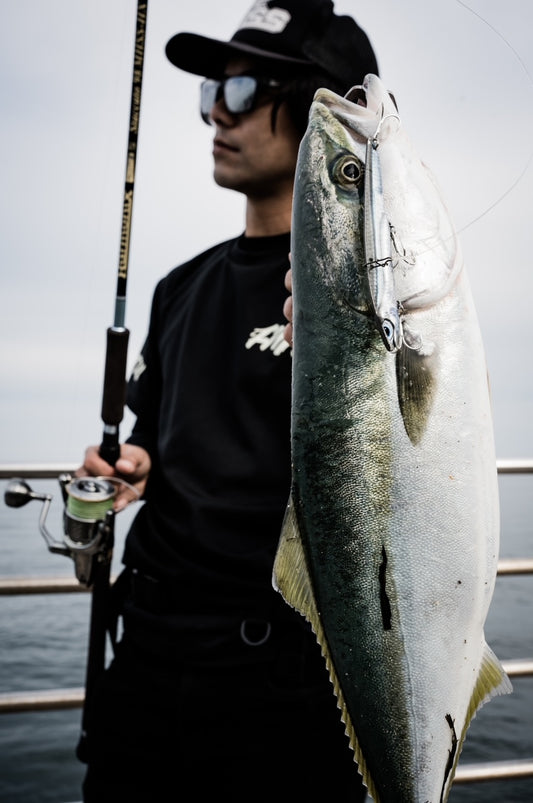 ショア青物の釣果上昇中～！