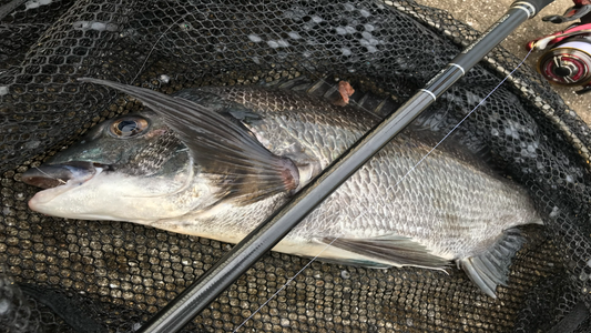 釣りで不意のビックフィッシュには欠かせないもの・・・　