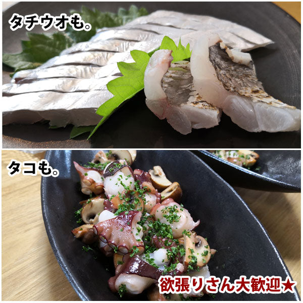 チェベレ タチタコ 180 – フィッシングマックス WEBSHOP