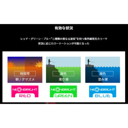 エギ王 K ネオンブライト 3.5号 シャロー