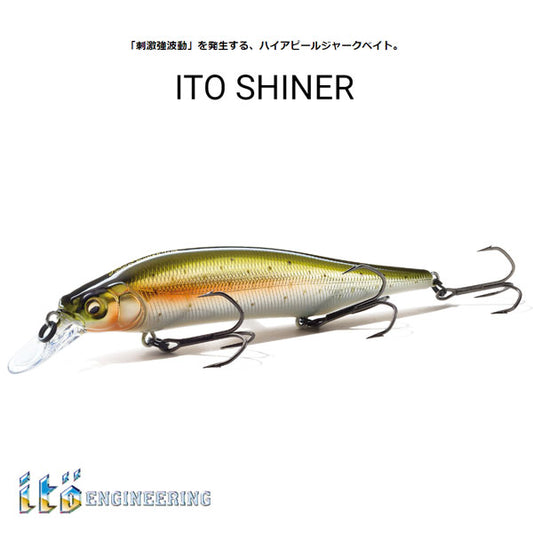 ITO SHINER  イトーシャイナー