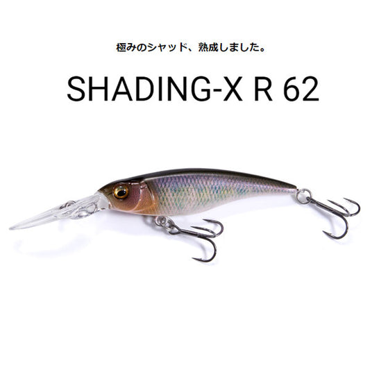 SHADING-X R 62