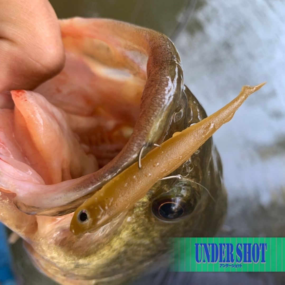 ノガレスアンダーショット