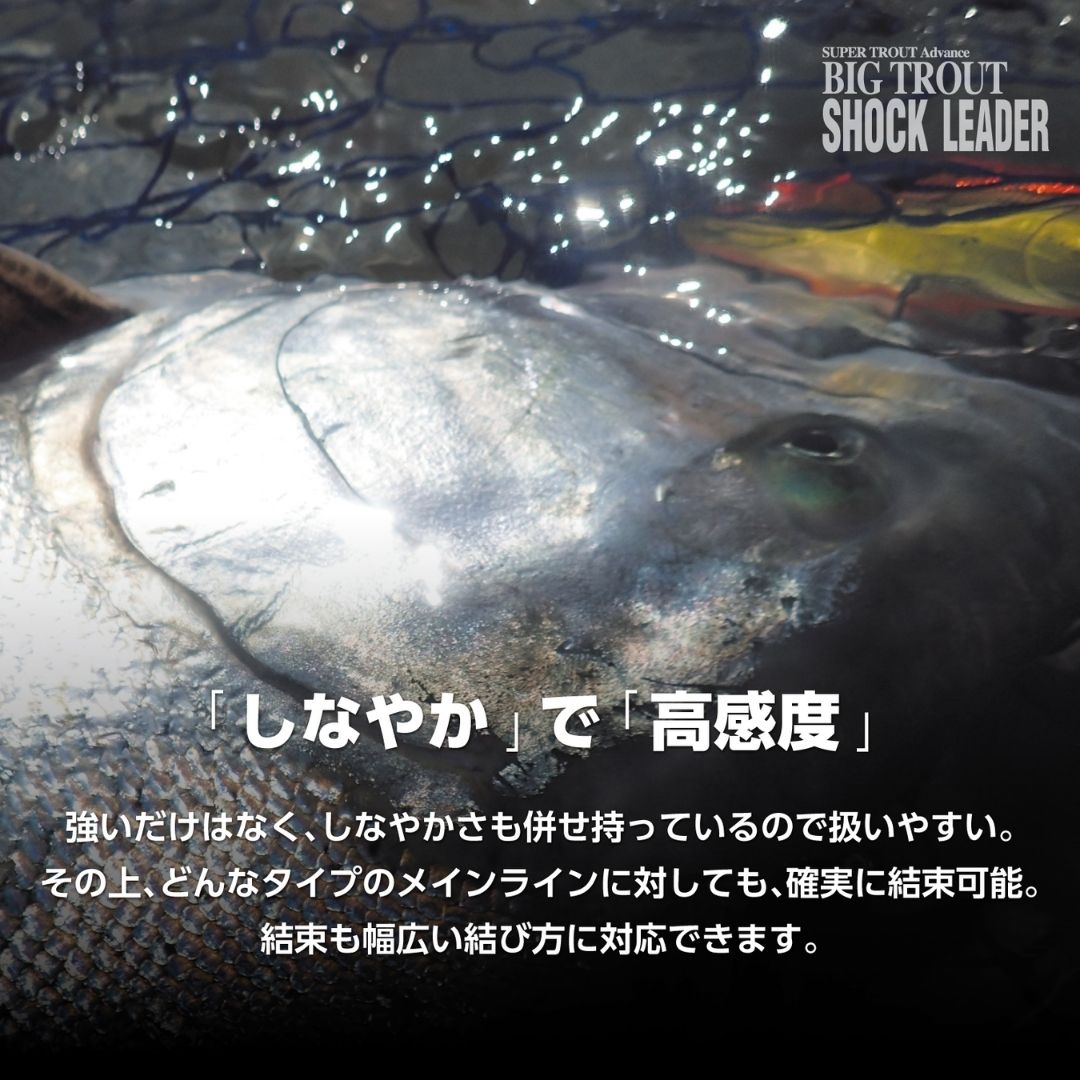 ビッグトラウトショックリーダー VSPフロロ