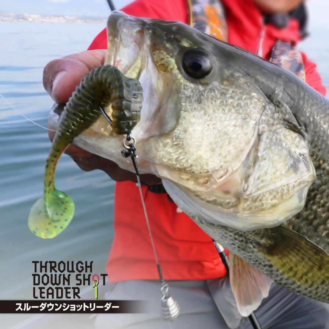 ノガレス スルーダウンショットリーダー