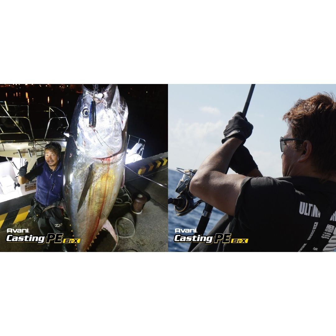 キャスティングPE Si-X