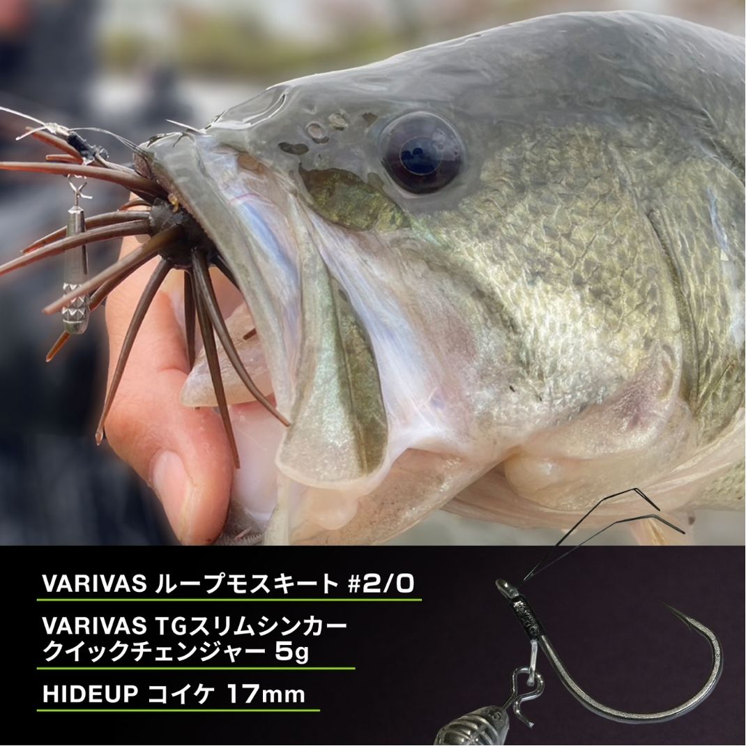 ハイドアップ　コイケ17mm  バリバス　ループモスキート2/0 ハイドアップ コイケ17mm バリバス ループモスキート2/0