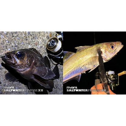 ソルトウォーターフィネスPE X8　150M