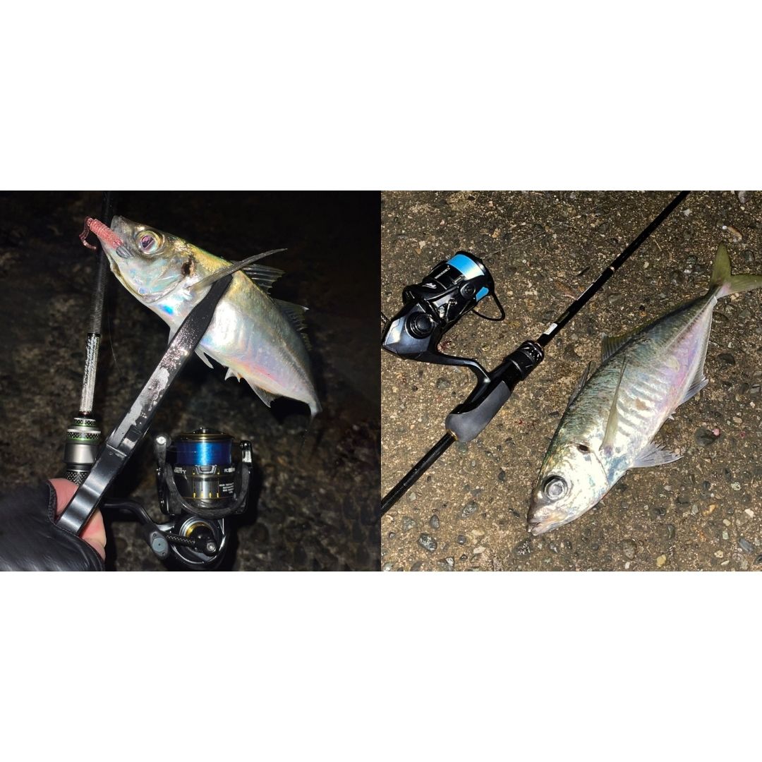 アジングマスター ［フロロカーボン］ ブルームーン 150m