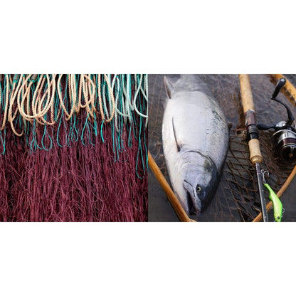 ビッグトラウト カッチイロ　150m