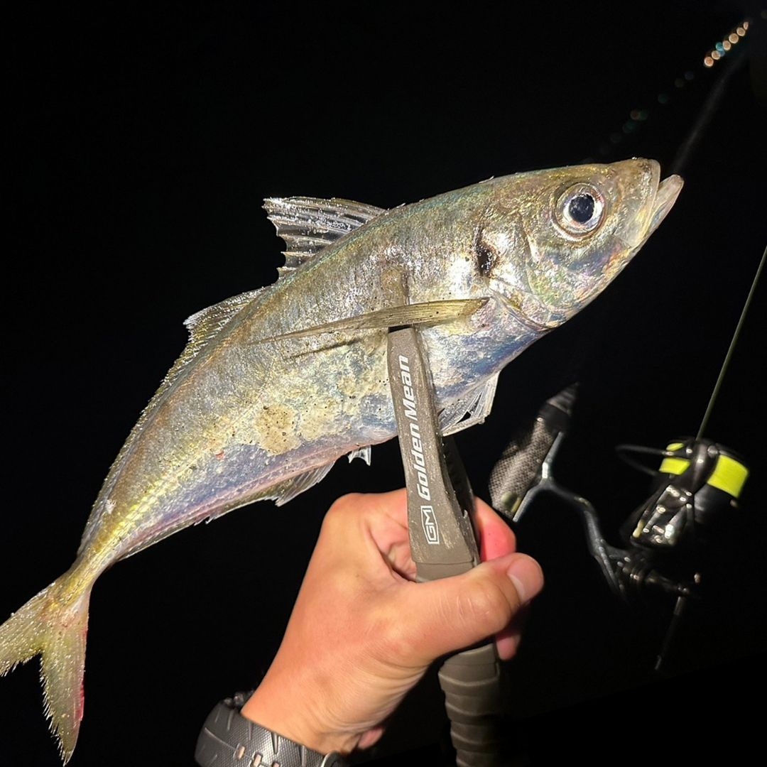 アジングマスター [エステル] LEMONi（レモニー） 150m