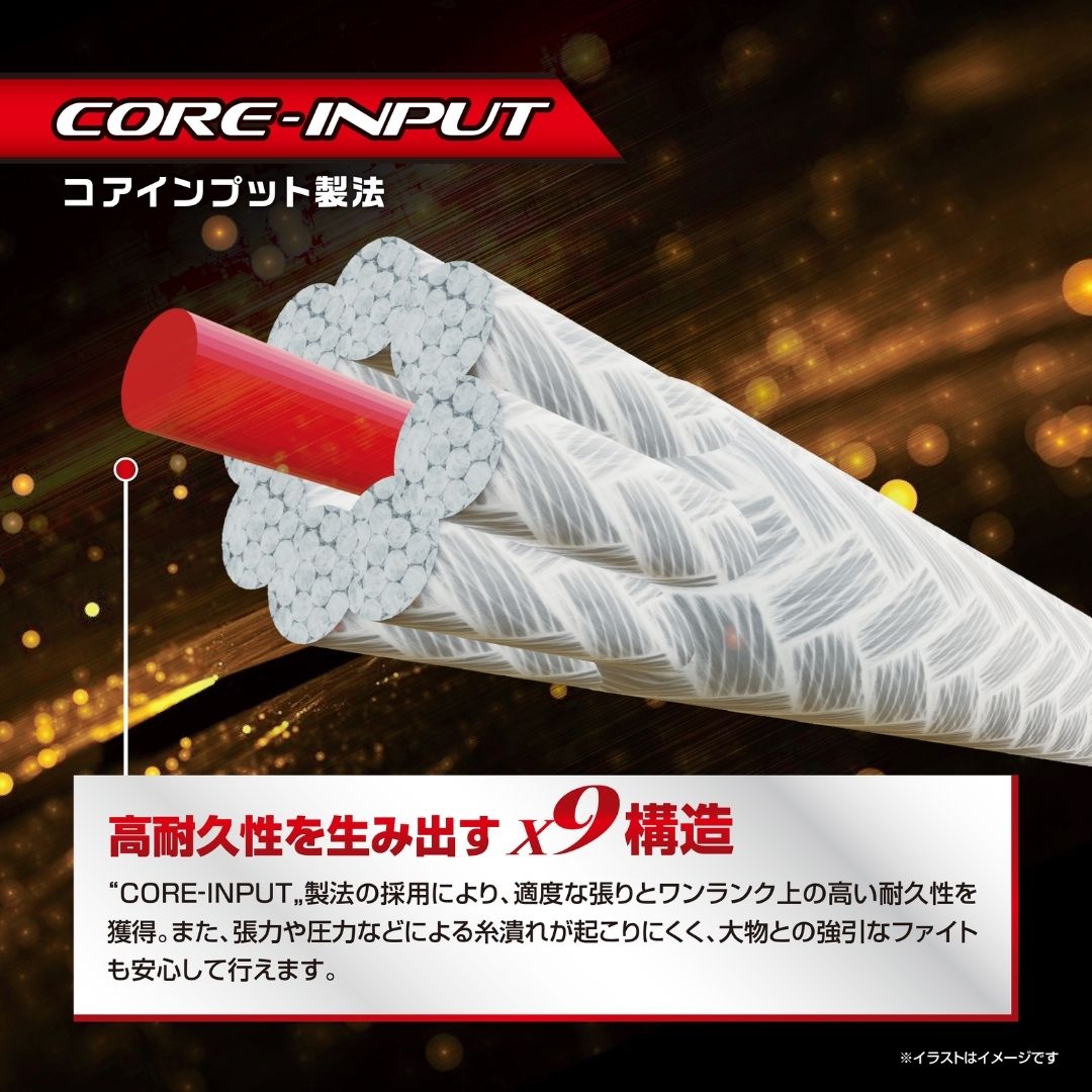 アバニ ジギング10X10マックスパワーPE X9