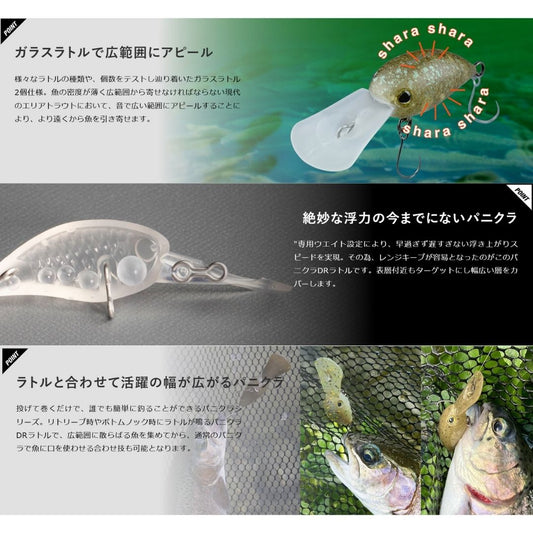 パニクラDRラトル