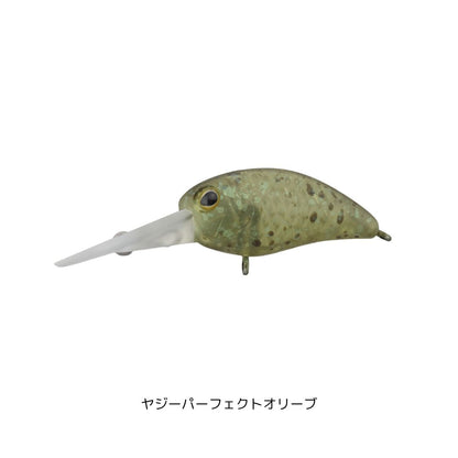 パニクラDRラトル