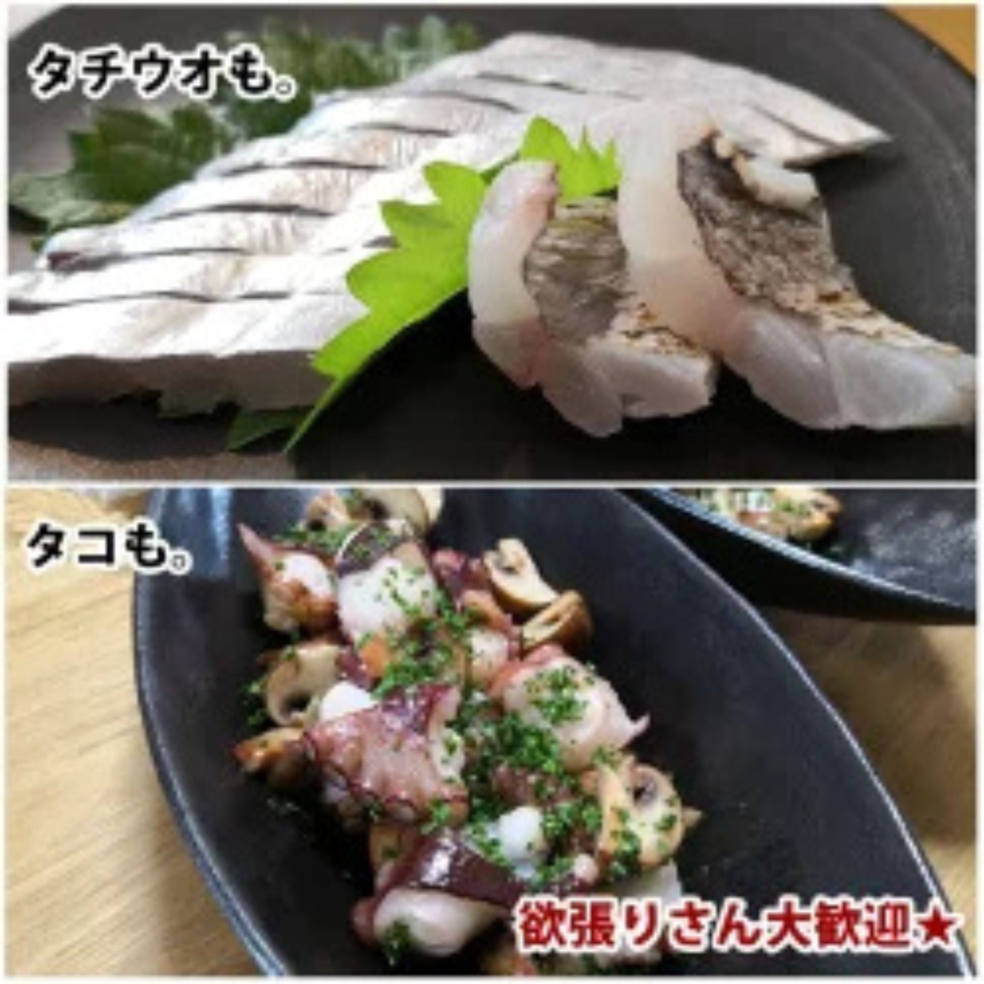チェベレ タチタコ #180 – フィッシングマックス WEBSHOP