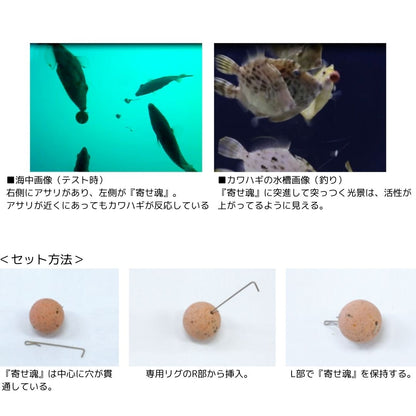 寄せ魂カワハギ