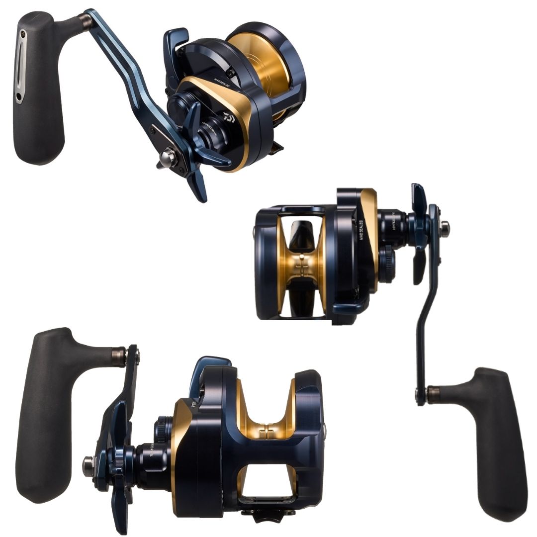 25 ソルティガ（ベイト）