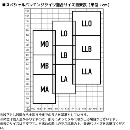 SP-4050P20 スペシャルパンチングタイツ