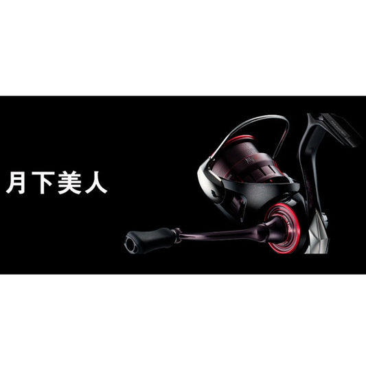 月下美人 LT 2023モデル 　※数量限定特価品