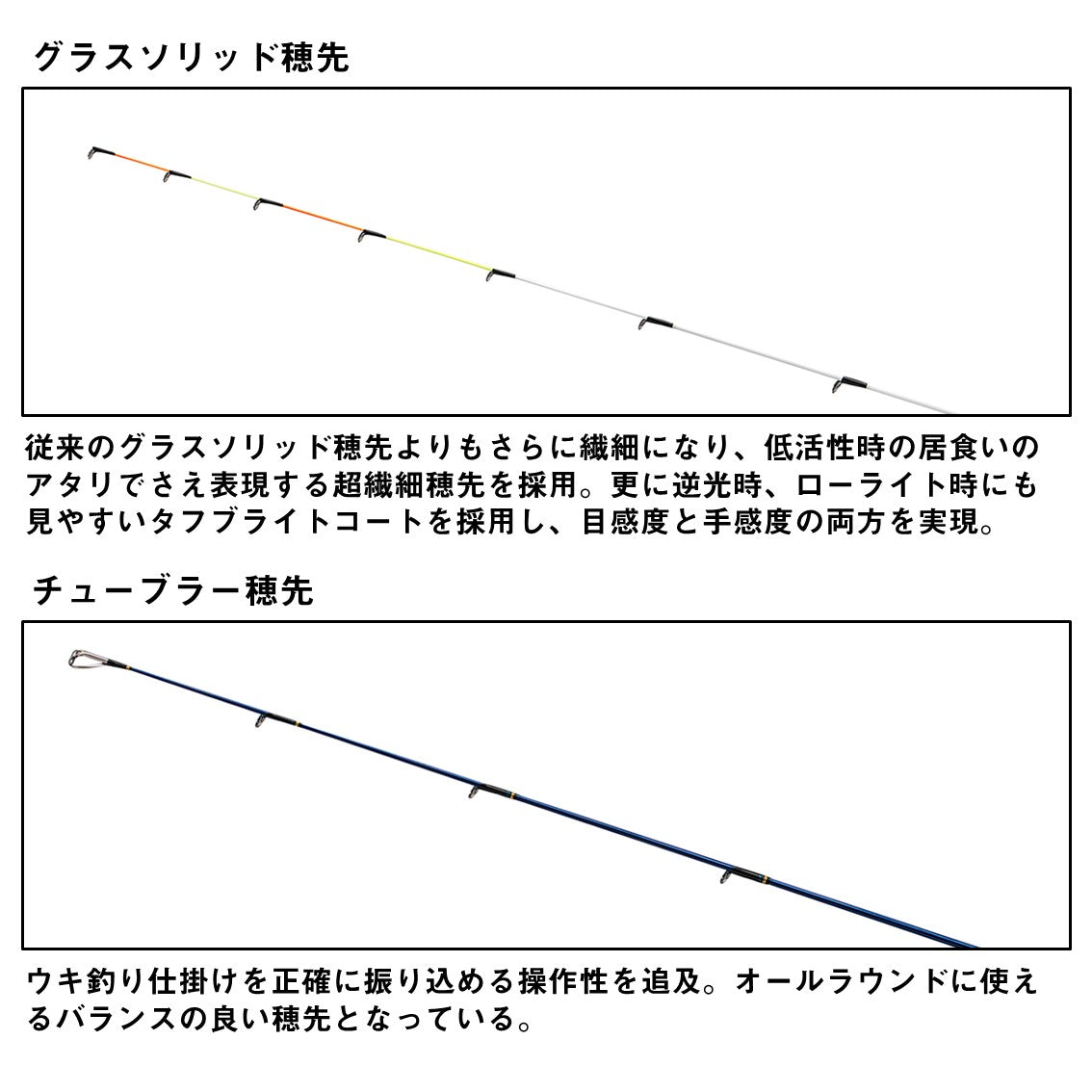 24 クラブブルーキャビンFL
