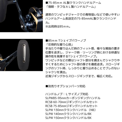 25 ソルティガ