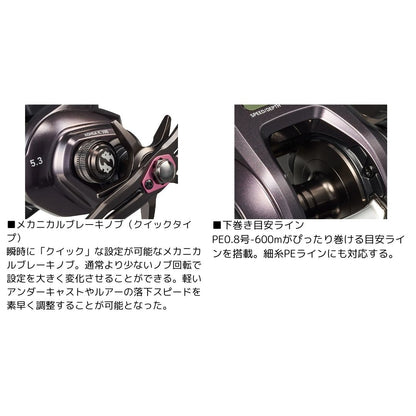 24 紅牙 IC ※一部　数量限定特価品