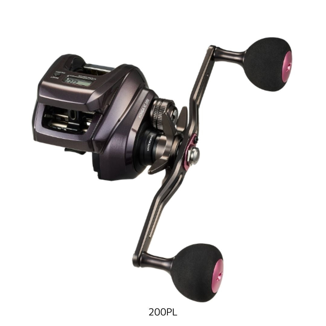 24 紅牙 IC ※一部　数量限定特価品