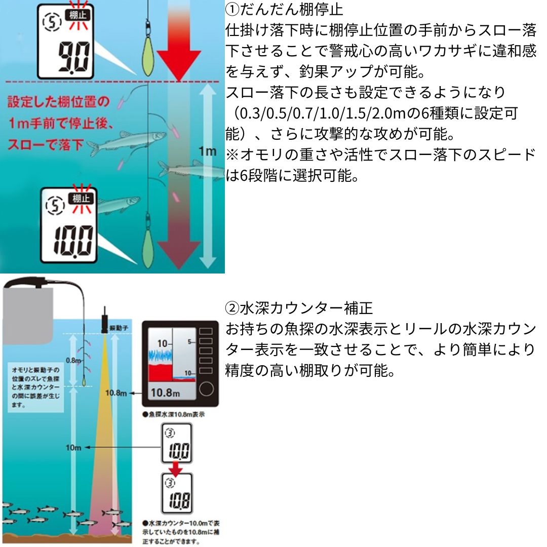 クリスティアワカサギ AIR
