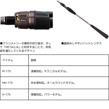 24 メタリア タチウオテンビン