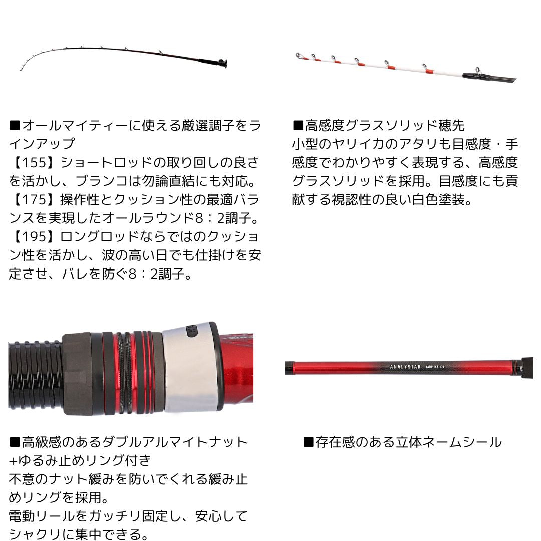 24 アナリスター ヤリイカ