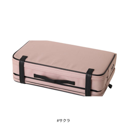 クッションLT (D)