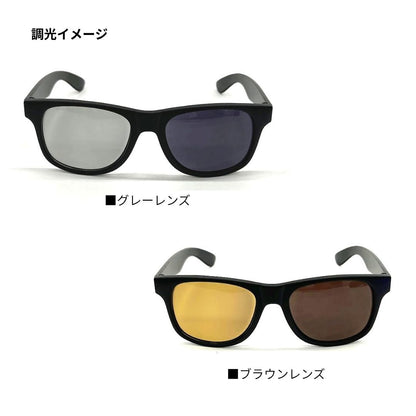 DN-8065H トリアセテート調光偏光グラス