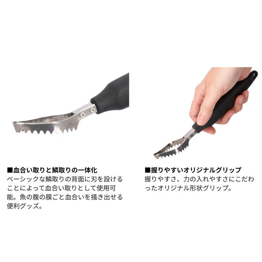 爽快血合い取り