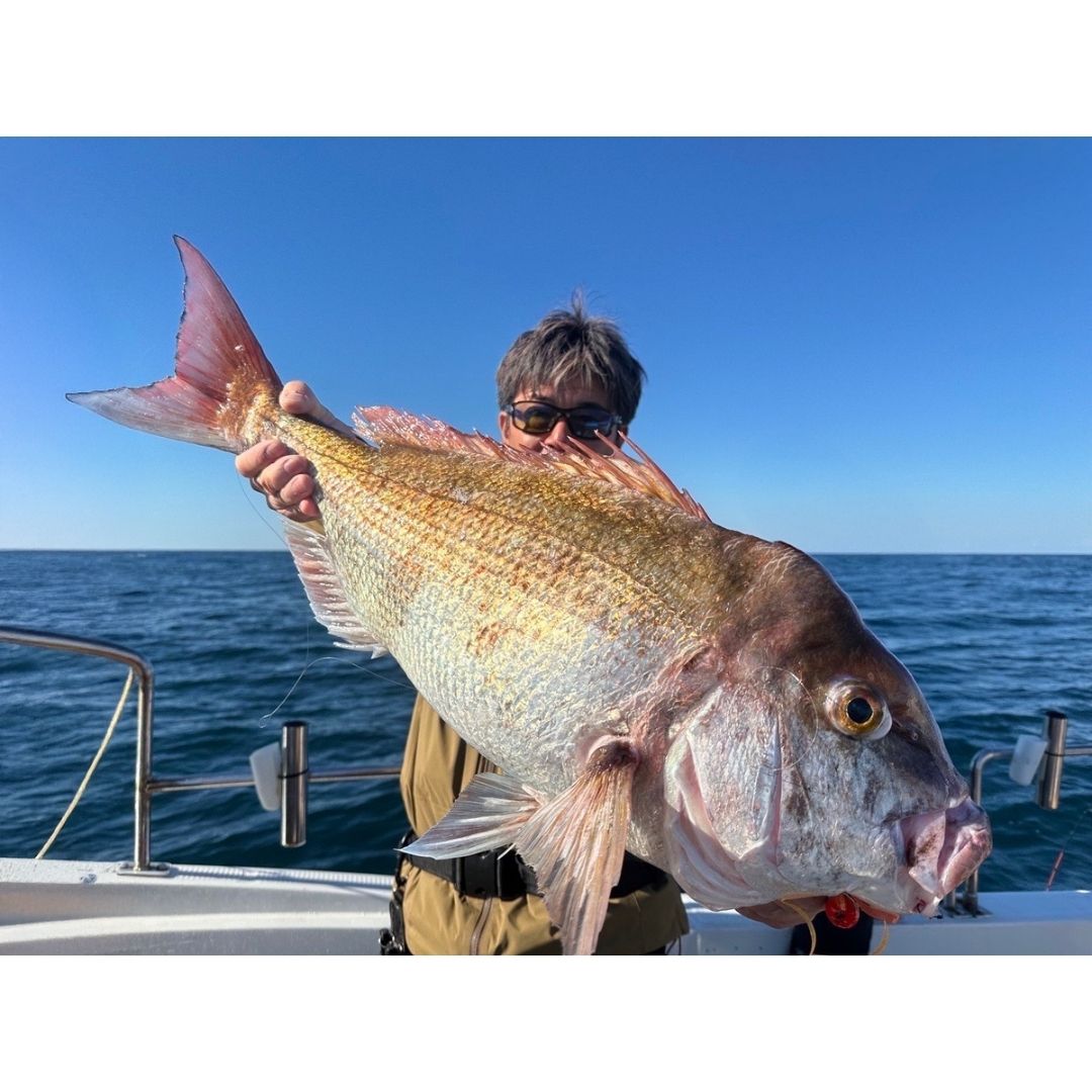 TGドロップK　60g