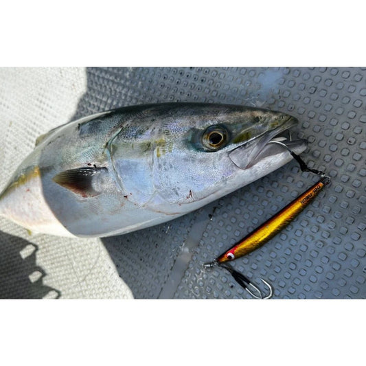 TGノブナガ　150g