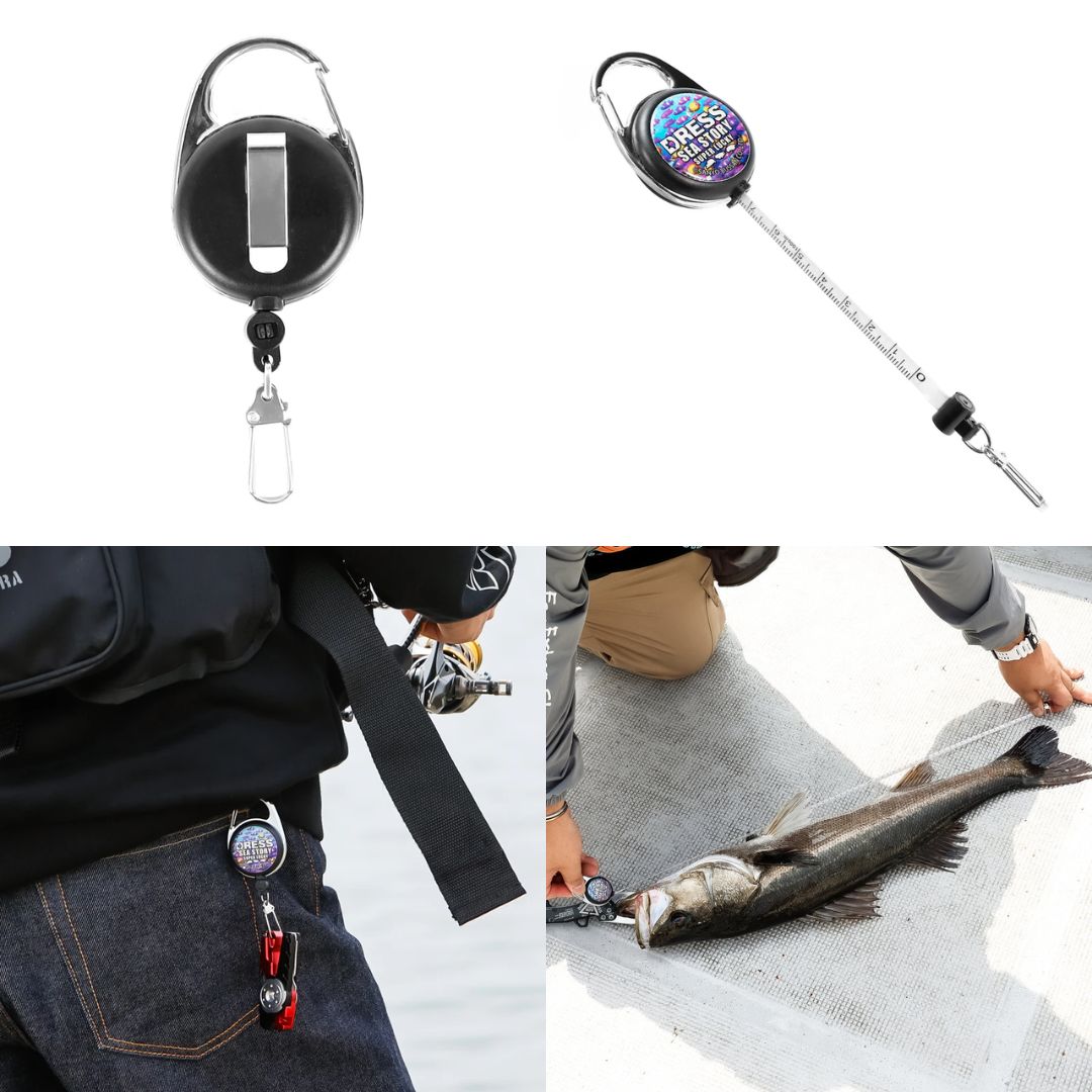 ピニオンメジャーリール（海物語）