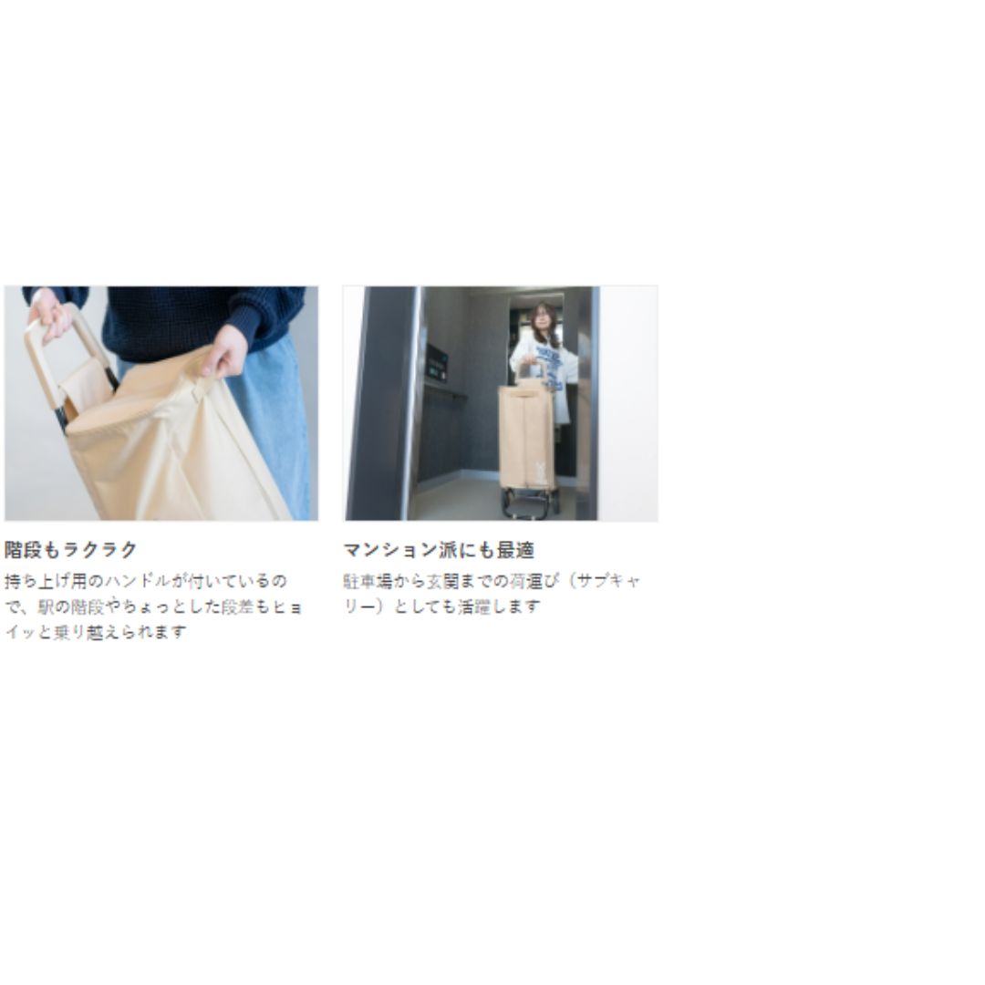 エンソクキャリー CW1-239-TN