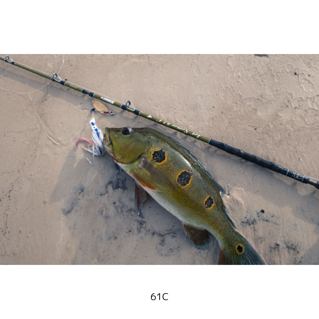 ジェットセッター 61C