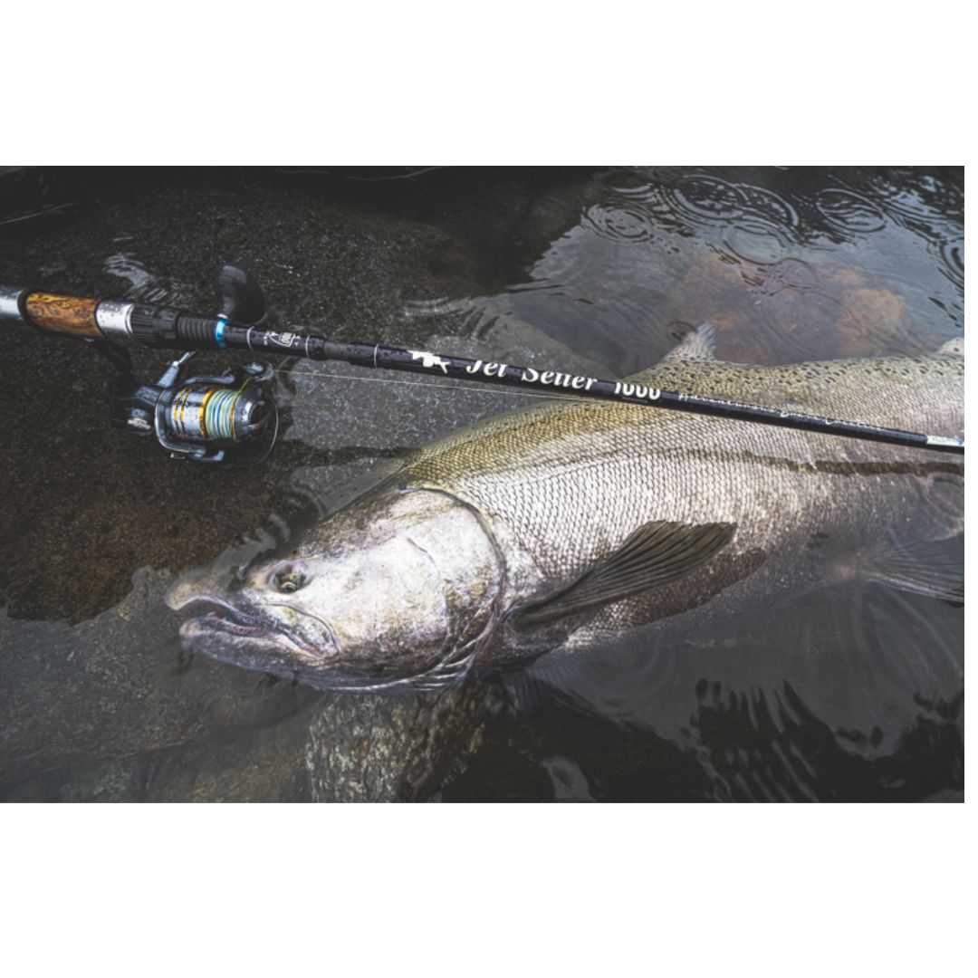 ジェットセッター パタゴニア1000