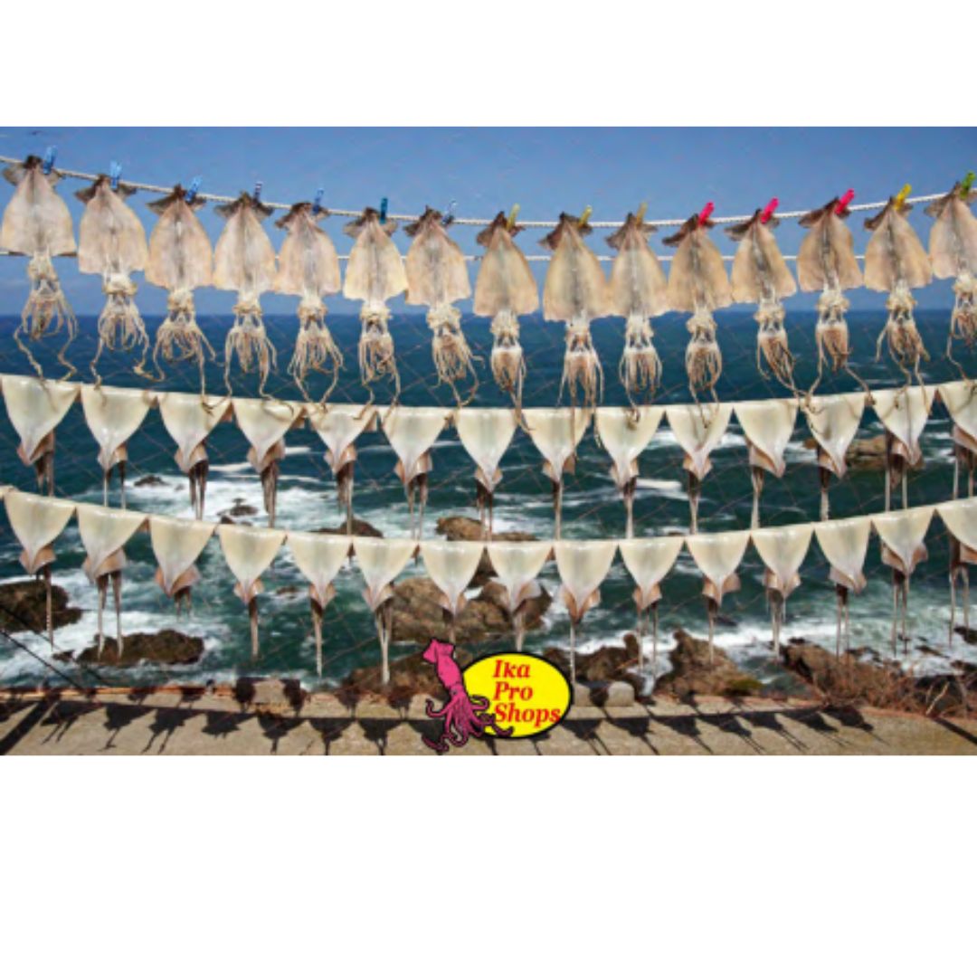 フォトパーカー ぬくぬく裏起毛10oz ブラック