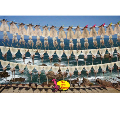 フォトパーカー ぬくぬく裏起毛10oz ブラック