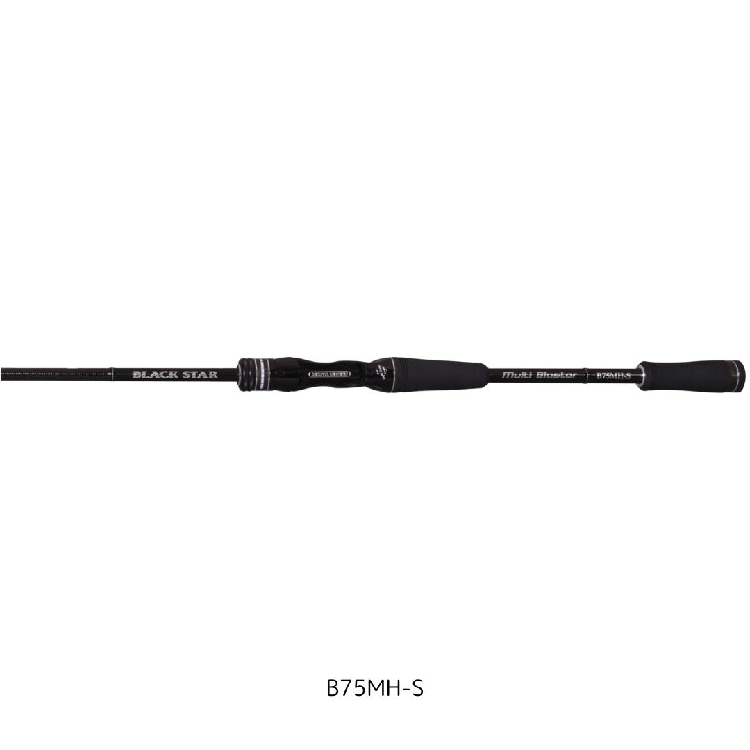 ブラックスター マルチブラスター