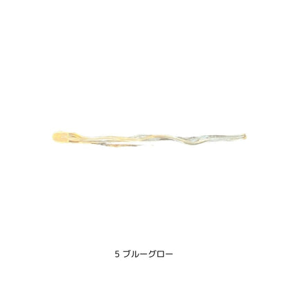 あいや～タコカーリーJr